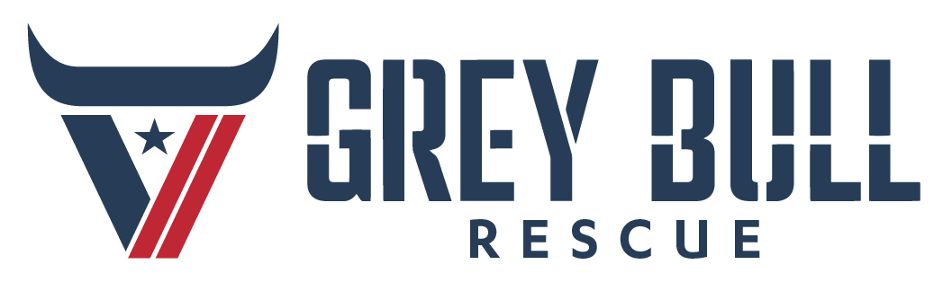 Grey Bull